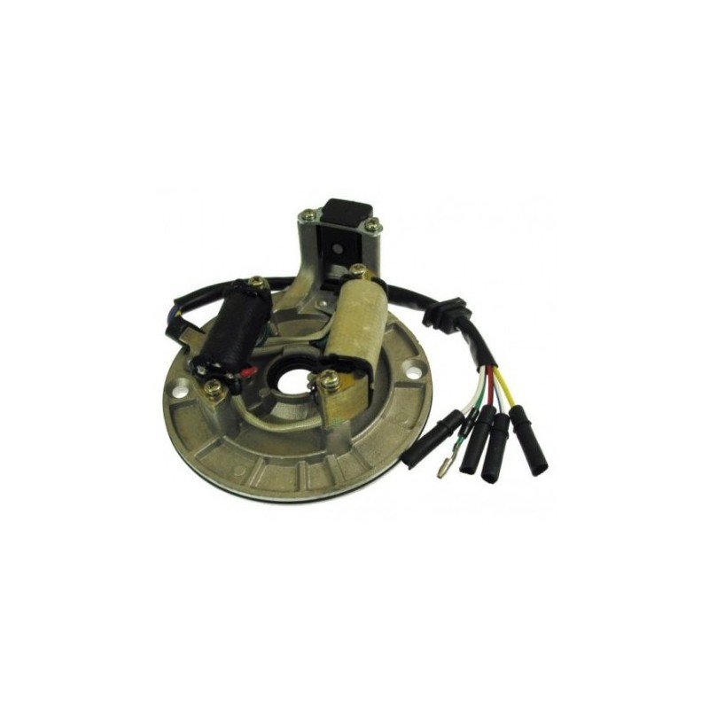 STATORE ORIGINALE PIT BIKE 4 TEMPI - corrente cross 125cc 140cc