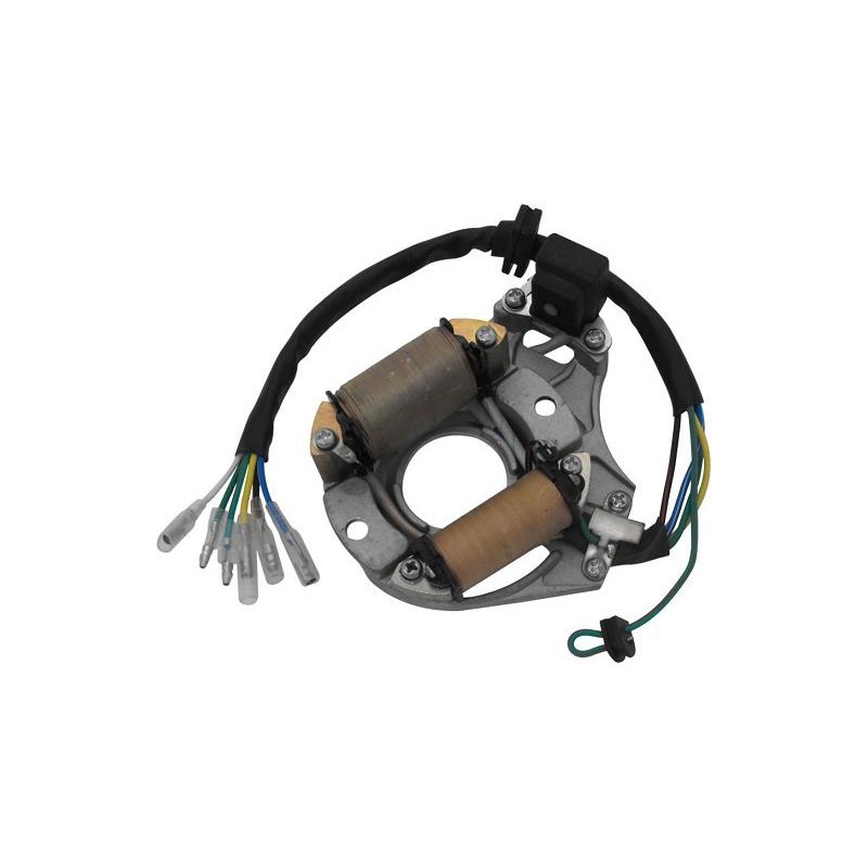 STATORE 2 BOBINE MOTORE 4 TEMPI ATV QUAD 110 - miniquad corrente completo avvolgimenti