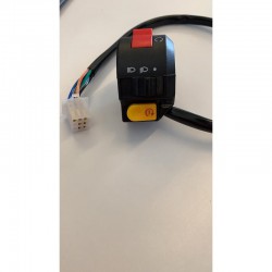 COMANDO TASTI QUAD 110 SINISTRO SPINA SINGOLA MINIQUAD ATV MINIATV interruttori