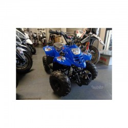 CARENE PLASTICHE QUAD 110CC 6" NORMALE BAMBOO SCOCCA ESCLUSO PEDANE FANALI CARENA