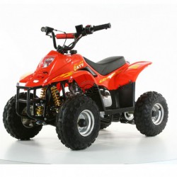 QUAD ATV 110 BAMBOO RUOTE 6" MINIATV MINIQUAD 4 TEMPI 110cc