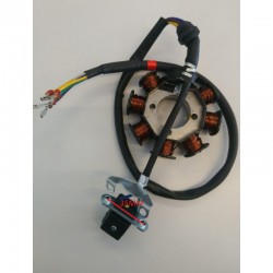 STATORE ATV 8 bobine miniatv quad x motore 4 tempi 250CC