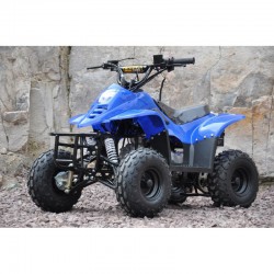 QUAD ATV 110 BAMBOO RUOTE 6" MINIATV MINIQUAD 4 TEMPI 110cc