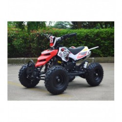 Miniquad Raptor Big 49cc R6