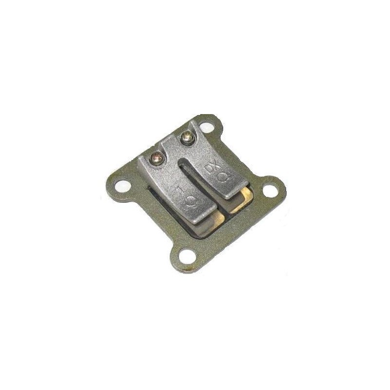 PACCO LAMELLARE MINIMOTO - miniquad minicross universale motori 2 tempi