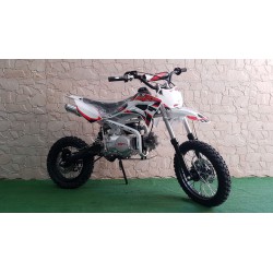 PIT BIKE KAYO TSD110 110cc R14-12 semiautomatica