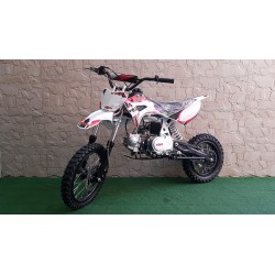 PIT BIKE KAYO TSD110 110cc R14-12 semiautomatica