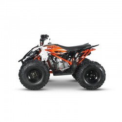 AT110 PREDATOR - MINI QUAD ATV 110cc AUTOMATICO 4 TEMPI BY KAYO