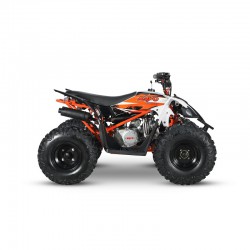 AT110 PREDATOR - MINI QUAD ATV 110cc AUTOMATICO 4 TEMPI BY KAYO