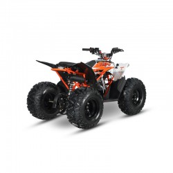 AT110 PREDATOR - MINI QUAD ATV 110cc AUTOMATICO 4 TEMPI BY KAYO