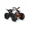 AT110 PREDATOR - MINI QUAD ATV 110cc AUTOMATICO 4 TEMPI BY KAYO