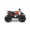 AT125 PREDATOR - MINI QUAD ATV 125cc SEMIAUTOMATICO 4 TEMPI BY KAYO