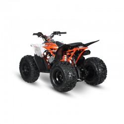 AT125 PREDATOR - MINI QUAD ATV 125cc SEMIAUTOMATICO 4 TEMPI BY KAYO