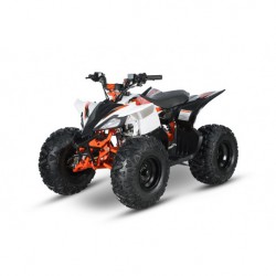 AT125 PREDATOR - MINI QUAD ATV 125cc SEMIAUTOMATICO 4 TEMPI BY KAYO