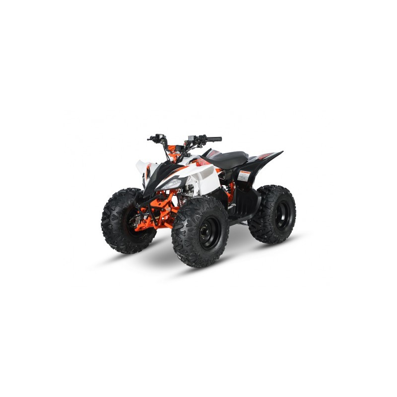 AT125 PREDATOR - MINI QUAD ATV 125cc SEMIAUTOMATICO 4 TEMPI BY KAYO