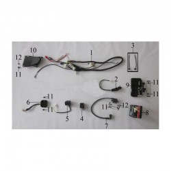 CDI QUAD PANTERA 250cc 4+2 PIN CENTRALINA AVVIAMENTO TIPO LEM