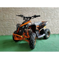 MINIQUAD DEFENDER XXL 49 cc R6 | Barone Off Road a Ribera (Agrigento)