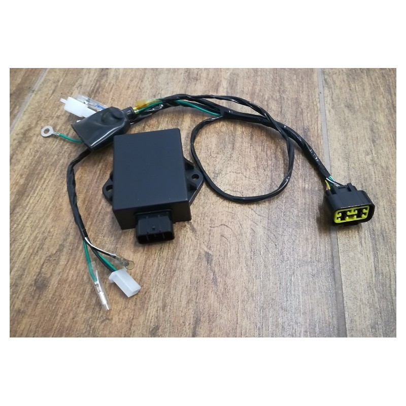 SOLO Cablaggio per Centralina TT170 kayo motore YX GPX e LIFAN 150cc 160cc 170cc cavo connettore