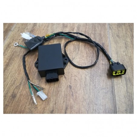 SOLO Cablaggio per Centralina TT170 kayo motore YX GPX e LIFAN 150cc 160cc 170cc cavo connettore