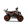 QUAD WARRIOR BIG 200CC R10  | Barone Off Road a Ribera (Agrigento)
