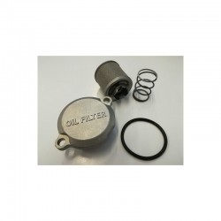 FILTRO OLIO + ACCESSORI - blocco motore pit bike krz 170 kayo 4 tempi