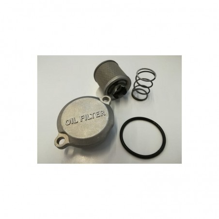 FILTRO OLIO + ACCESSORI - blocco motore pit bike krz 170 kayo 4 tempi