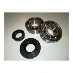 SET CUSCINETTI 6203 17X40X12 + PARAOLI 17X35X7 15X24X7 ALBERO 50cc 65cc MOTORE MORINI lem ktm