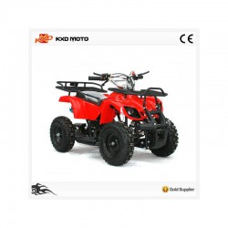 Mini Quad Hummer 2 Tempi R6 Barone Off Road a Ribera (Agrigento)