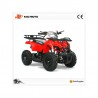 Mini Quad Hummer 2 Tempi R6 Barone Off Road a Ribera (Agrigento)