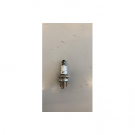 CANDELA replica NGK economica C6HSA L7T