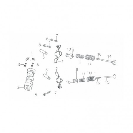 set completo valvole testa blocco motore YX160CC