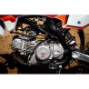 PIT BIKE CROSS KAYO TT190R RACING 17-14