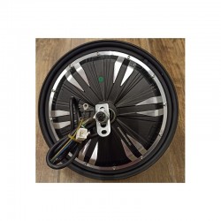 MOTORE A DISCO RUOTA POSTERIORE COMPLETO 1000W-SKY II REVENGE