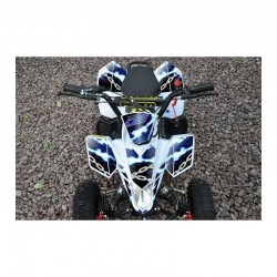 ADESIVI MINIQUAD FOX ROSSI BLU VERDI