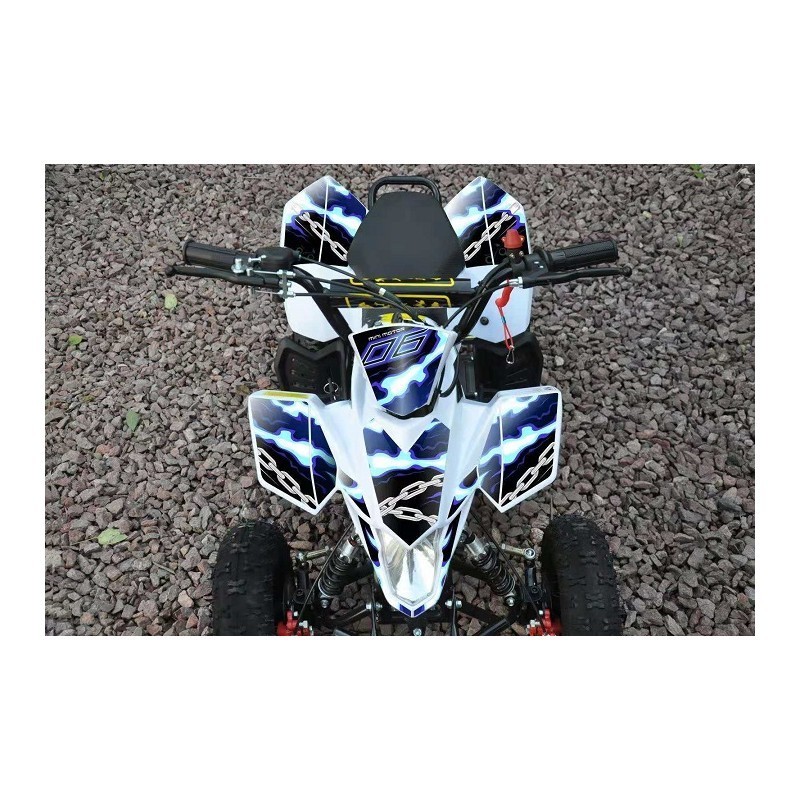 ADESIVI MINIQUAD FOX ROSSI BLU VERDI