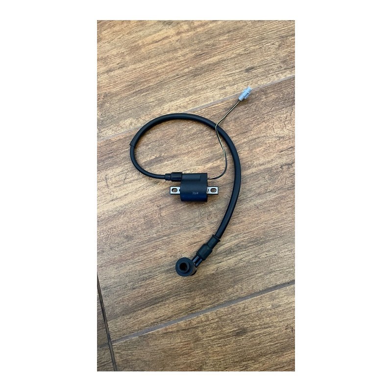 BOBINA ORIGINALE PER QUAD KAYO A150 AU150 A180 AU180