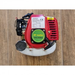 BLOCCO MOTORE 25cc 0,65KW TAGLIASIEPI TAGLIAERBA COMPLETO FRIZIONE