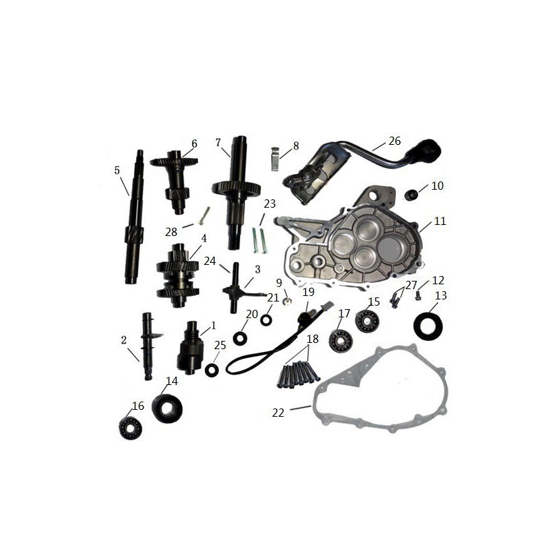PARAOLIO 32.0x52x7 PER BLOCCO MOTORE GY6 QUAD KAYO AU180 180cc