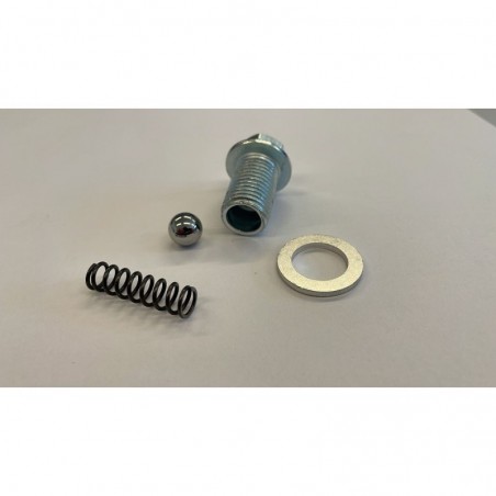 TAPPO VITE CARTER OLIO BLOCCO MOTORE GY6 QUAD KAYO AU180 180cc