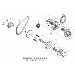 SET CATENA POMPA OLIO QUAD KAYO A250 TOR250