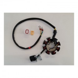 STATORE 8 BOBINE PER QUAD KAYO A250 TOR 250 250cc