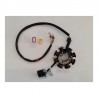 STATORE 8 BOBINE PER QUAD KAYO A250 TOR 250 250cc
