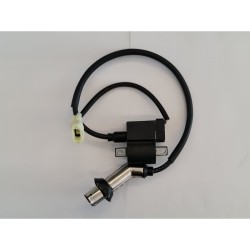 BOBINA PER MOTORE ZONGSHEN ZS300 300CC QUAD ATV KAYO A300