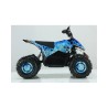 MINIQUAD FUTURY M2A E-Start 49 cc R6