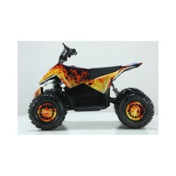 MINIQUAD FUTURY M2A E-Start 49 cc R6