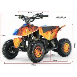 MINIQUAD FUTURY M2A E-Start 49 cc R6