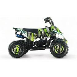 MINIQUAD FUTURY M2A E-Start 49 cc R6