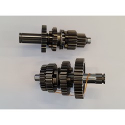 CAMBIO PER MOTORE SEMIAUTOMATICO YX110 110CC TSD110 TS90