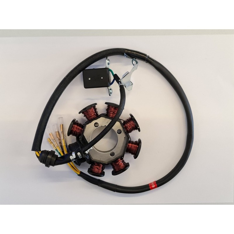 STATORE 8 BOBINE PER BLOCCO MOTORE 250cc CROSS
