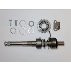 PERNO INGRANAGGIO ASSE AVVIAMENTO PER BLOCCO MOTORE PIT BIKE ZONGSHEN ZS155 155c